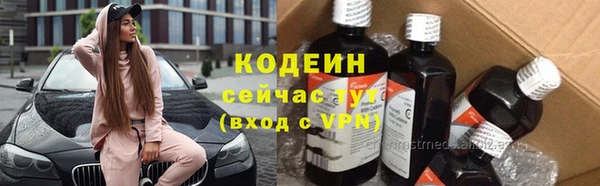 прущие грибы Нягань