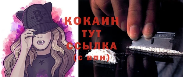 соль ск Новозыбков