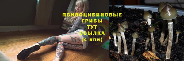 ГАЛЛЮЦИНОГЕННЫЕ ГРИБЫ Няндома