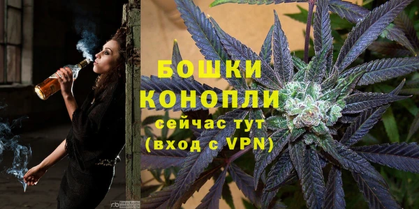 ГАЛЛЮЦИНОГЕННЫЕ ГРИБЫ Новодвинск