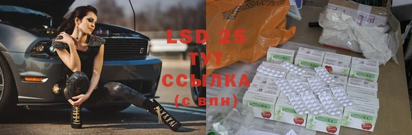 соль ск Новозыбков