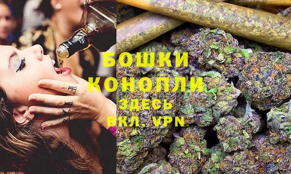 соль ск Новозыбков