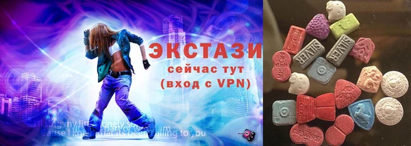 соль ск Новозыбков