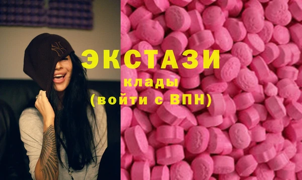 соль ск Новозыбков