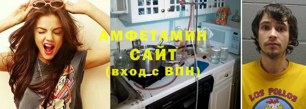 соль ск Новозыбков