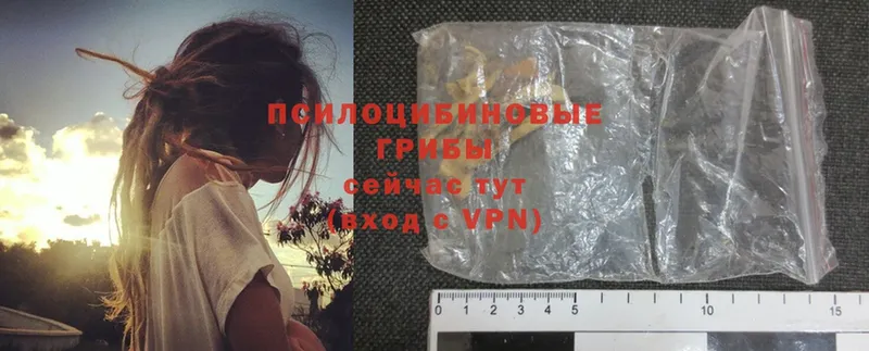 Псилоцибиновые грибы MAGIC MUSHROOMS  Алагир 